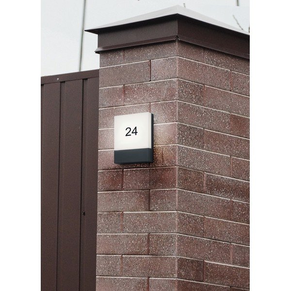 LED zidna vanjska svjetiljka (visina 20 cm) Pecos – Trio-image-2