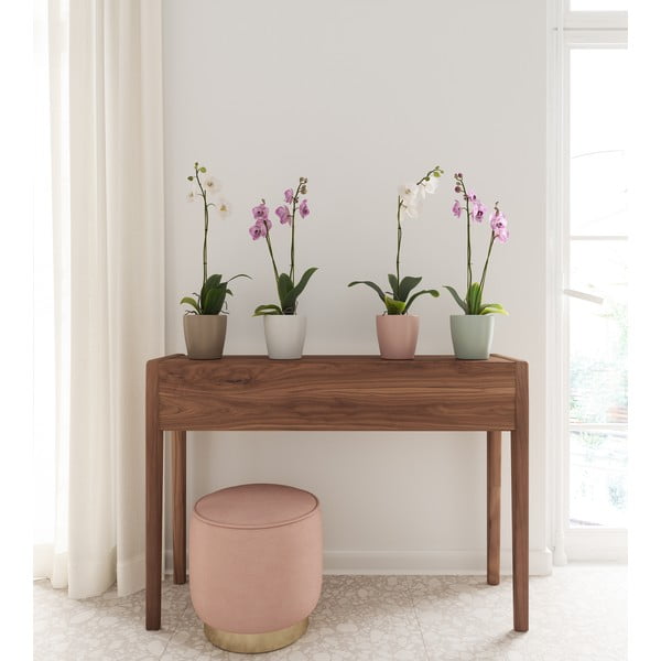 Keramička tegla za cvijeće ø 14 cm Thalia – Artevasi-image-2