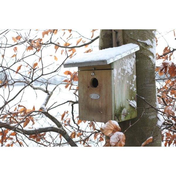 Drvena kućica za ptice – Esschert Design-image-3