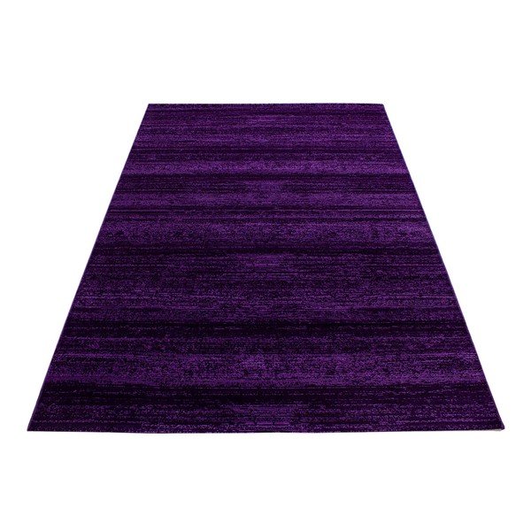 Tamno ljubičasti tepih 200x290 cm Plus – Ayyildiz Carpets-image-4