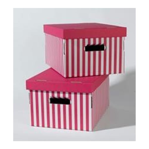 Set od 2 kutije za pohranu Compactor Pink Stripes