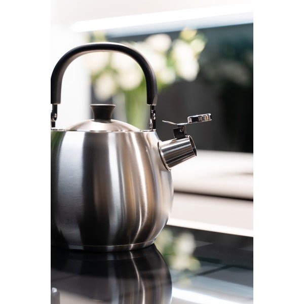Kuhalo za vodu od nehrđajućeg čelika srebrne boje Vialli Design Bolla, 2,5 l-image-4