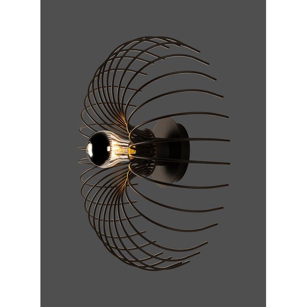 Crna zidna lampa Opilio – Squid Lighting-image-3