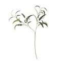 Umjetni eukaliptus (visina 101 cm) – Bloomingville