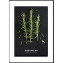 Slika 50x70 cm Rosemary – Styler