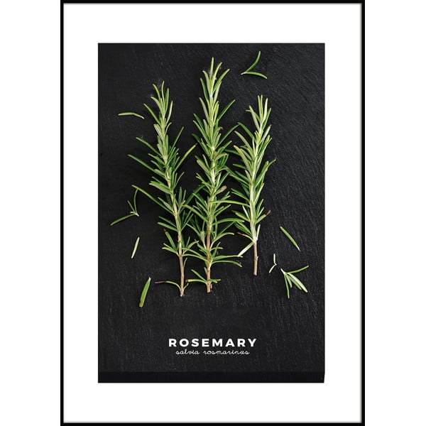 Slika 50x70 cm Rosemary – Styler
