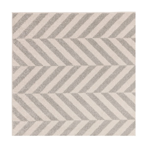 Svijetlo sivi tepih 120x170 cm Muse – Asiatic Carpets-image-2