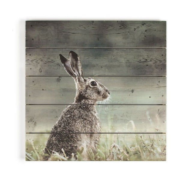 Drvena slika Graham & Brown Hare, 50 x 50 cm