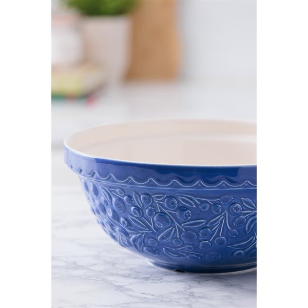 Plava zdjela od kamenine ø 26 cm Fruits Blueberry – Mason Cash-image-4
