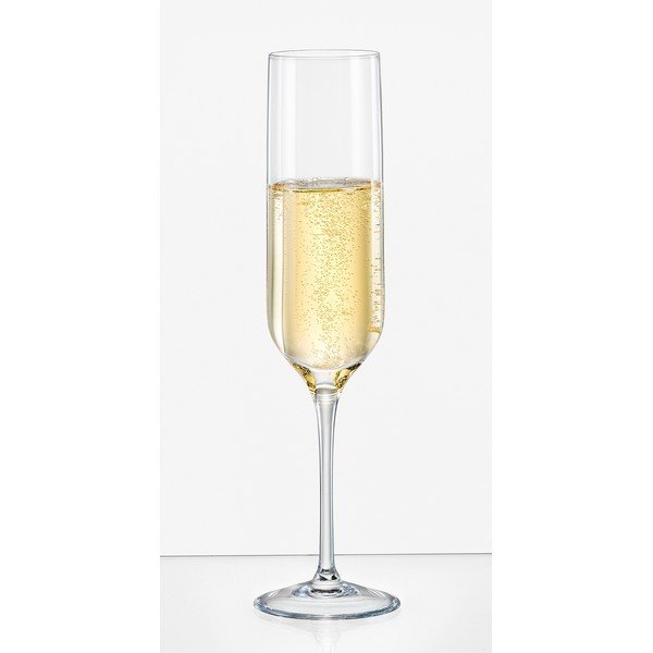 Set od 6 čaša šampanjca Crystalex Uma, 200 ml-image-1