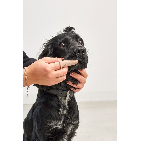 Četkice za kućne ljubimce u setu Dito – MiaCara-image-3