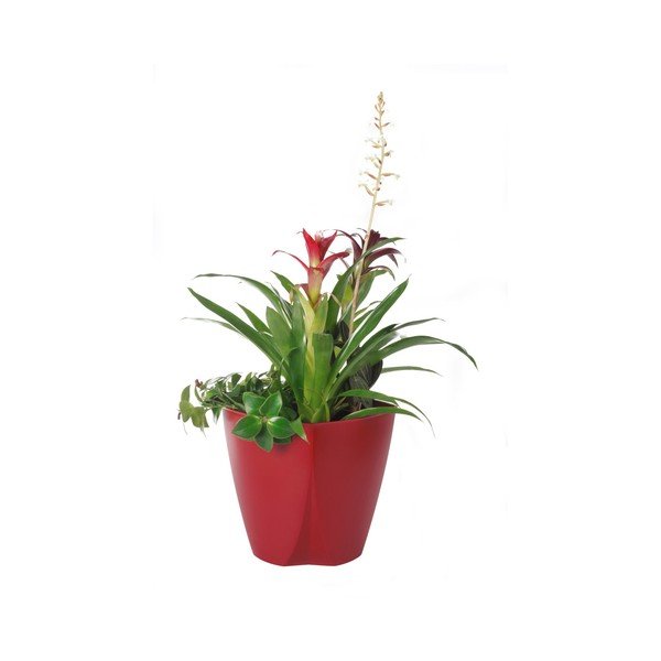 Crvena posuda za cvijeće Plastia Camay, ø 18,5 cm-image-1