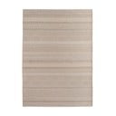 Bež unutarnji i vanjski tepih 200x290 cm Desert 1303 – Ayyildiz Carpets