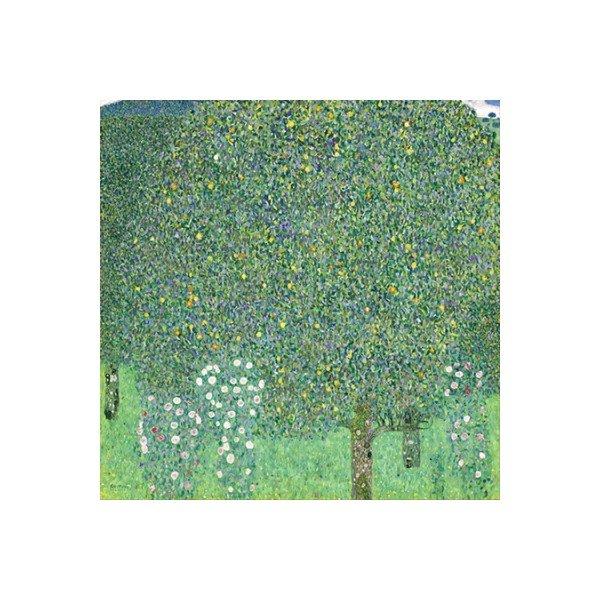 Reprodukcija slike Gustav Klimt - Grmovi ruža pod drvećem, 40 x 40 cm