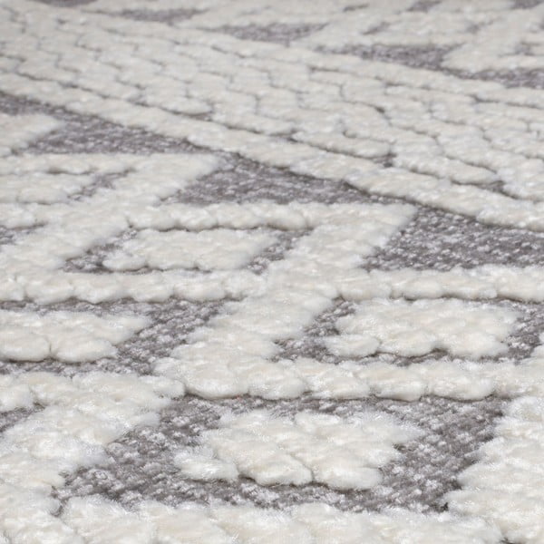 Sivi perivi tepih 218x160 cm Jhansi - Flair Rugs-image-4