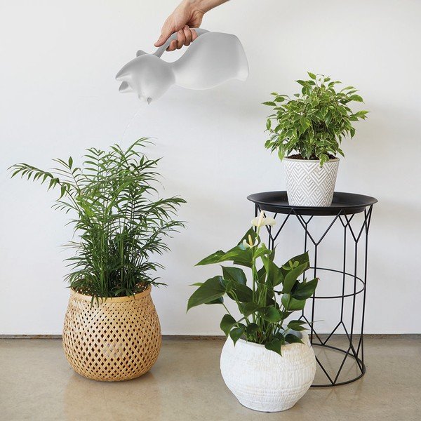 Plastična kanta za vodu 2 l Meow – Balvi-image-1