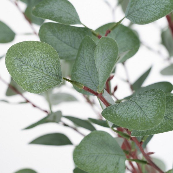 Umjetni eukaliptus (visina 180 cm) Eucalyptus – Ixia-image-1