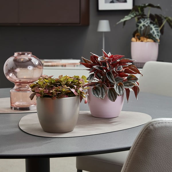 Keramička posuda za cvijeće ø 19 cm Basel Elegance - Big pots-image-1