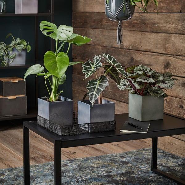 Ljubičasta keramička tegla Big pots Latina, 15 x 15 cm-image-1