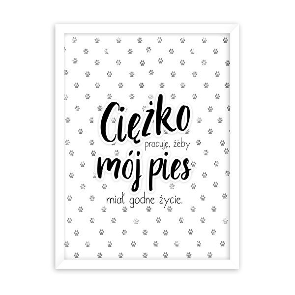 Slikanje Styler Pies, 30 x 40 cm