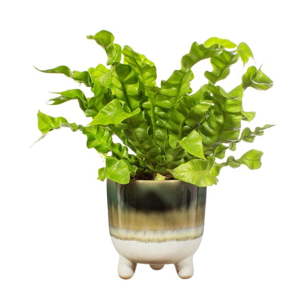 Zelena tegla Sass & Belle Bohemian Home Mojave, ø 11,7 cm-image-2