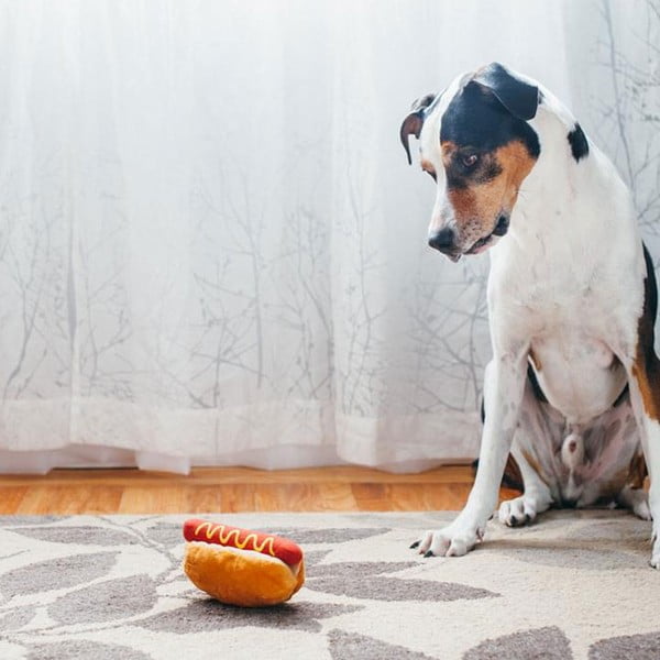 Igračka Hot Dog - P.L.A.Y.-image-1