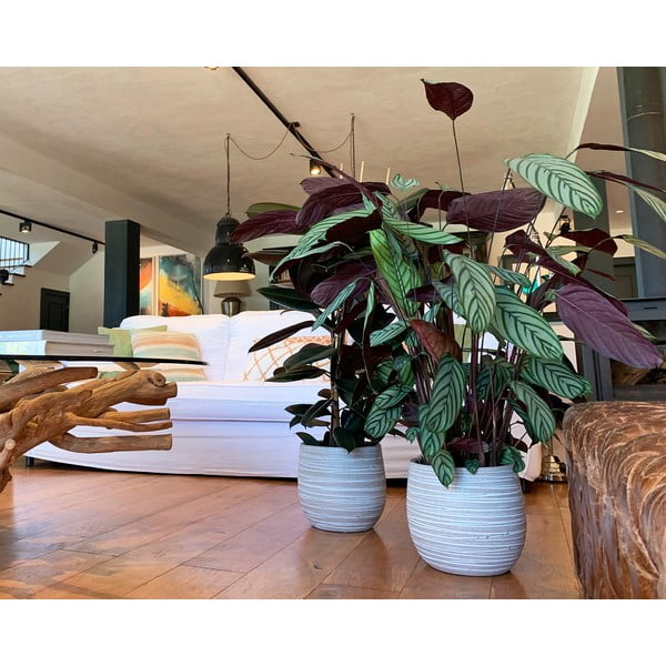 Keramička ručno rađena tegla za cvijeće ø 29 cm Dóris – Artevasi-image-1