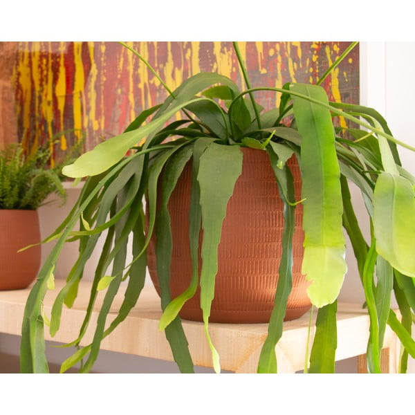 Keramička ručno rađena tegla za cvijeće ø 16 cm Aura – Artevasi-image-1