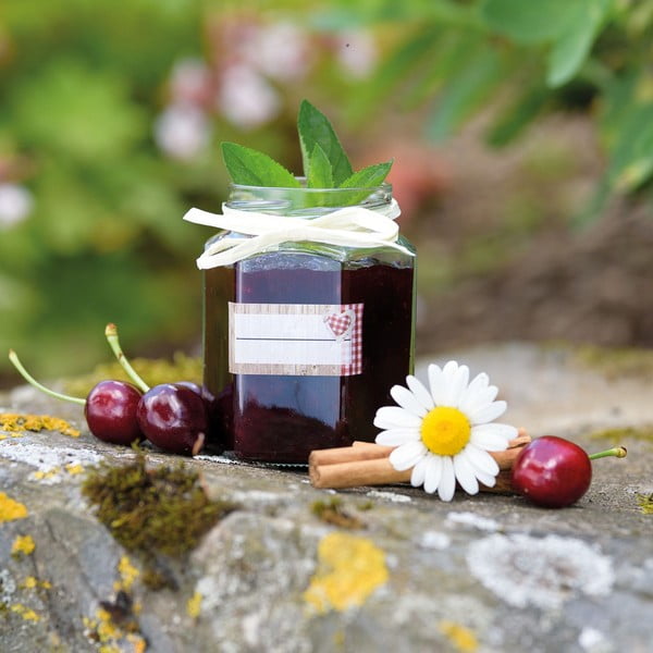 Set od 6 čaša s poklopcima Westmark, 190 ml-image-1