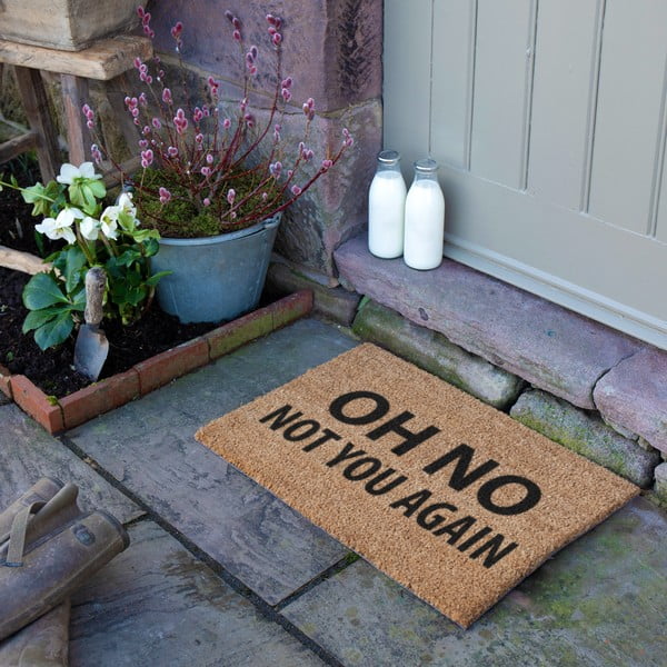 Otirač od kokosovih vlakana 40x60 cm Not You Again – Artsy Doormats-image-3
