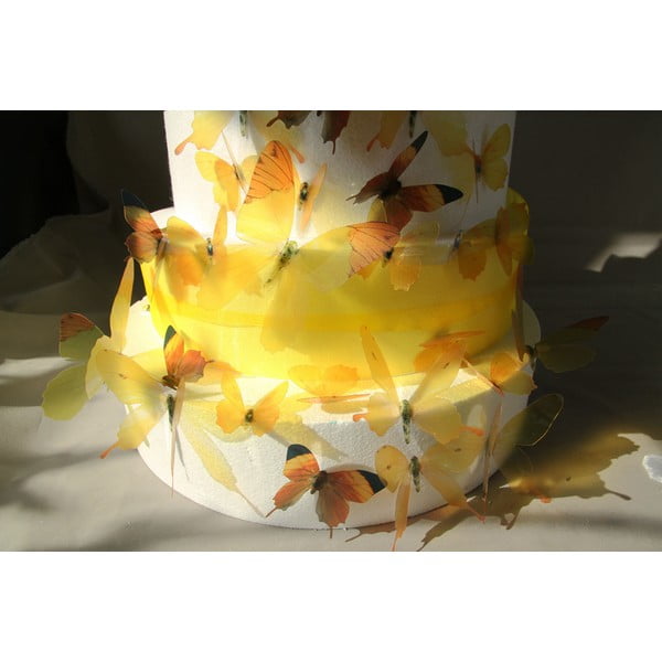 Set od 18 žutih naljepnica s 3D efektom Ambience Butterflies-image-3