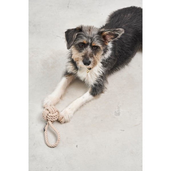 Igračka za psa Nodo Greige – MiaCara-image-2
