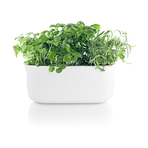 Bijela samozalijevajuća tegla za cvijeće Eva Solo-image-4