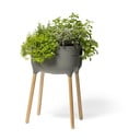 Plastična samozaljevajući žardinjera za cvijeće Urbalive – Plastia