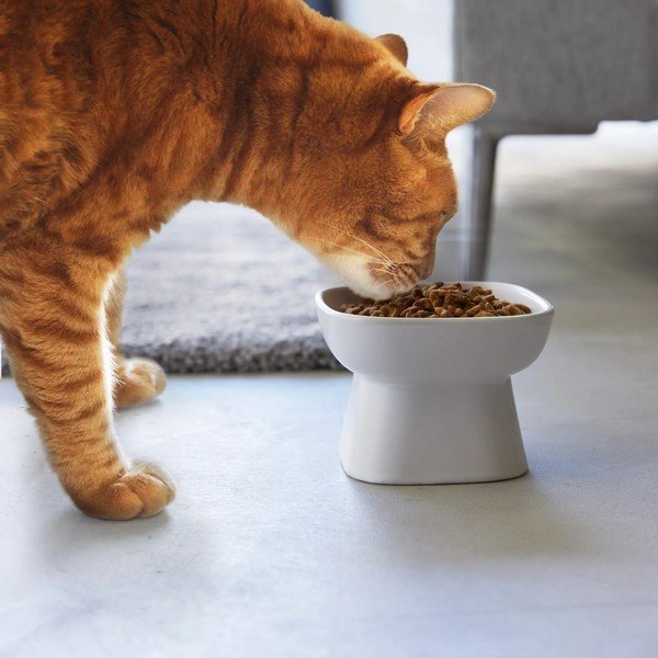 Keramička zdjela za hranu za ljubimce za kućne ljubimce Tower – YAMAZAKI-image-1