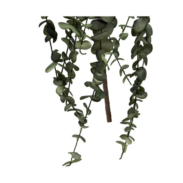 Plastična biljka Eucalyptus - Côté Table-image-1