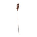 Dekoracija u obliku palminog lista Bloomingville Afina, visina 93 cm