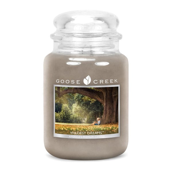 Mirisna svijeća u staklenoj posudi Goose Creek Wild Dreams, 150 sati gorenja