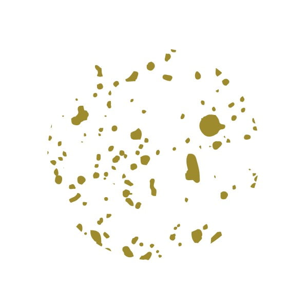 Kartonski uredski organizator za dokumente Ringo – Bigso Box of Sweden-image-4