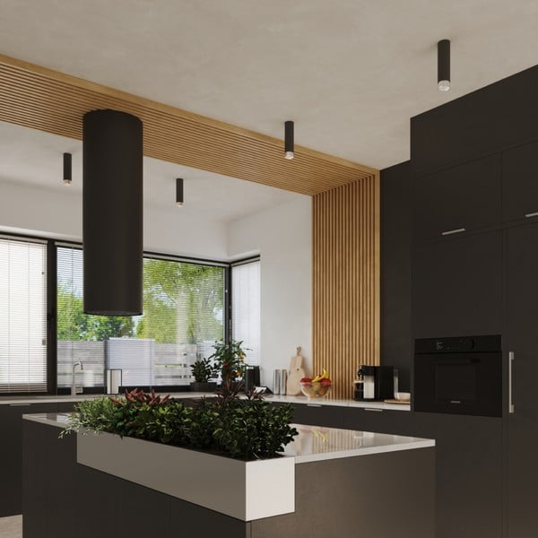 Crna/u srebrnoj boji stropna svjetiljka Crown – Sollux-image-4