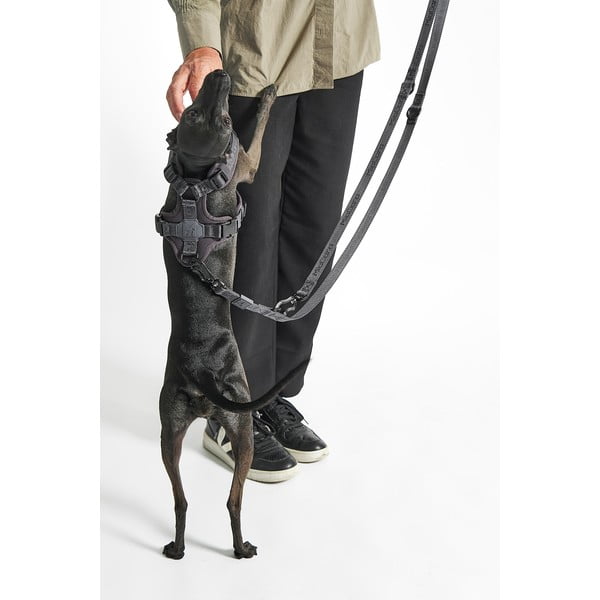 Zeleni preklopni povodac dužina 200 cm Modena Grolive 25 mm – MiaCara-image-3