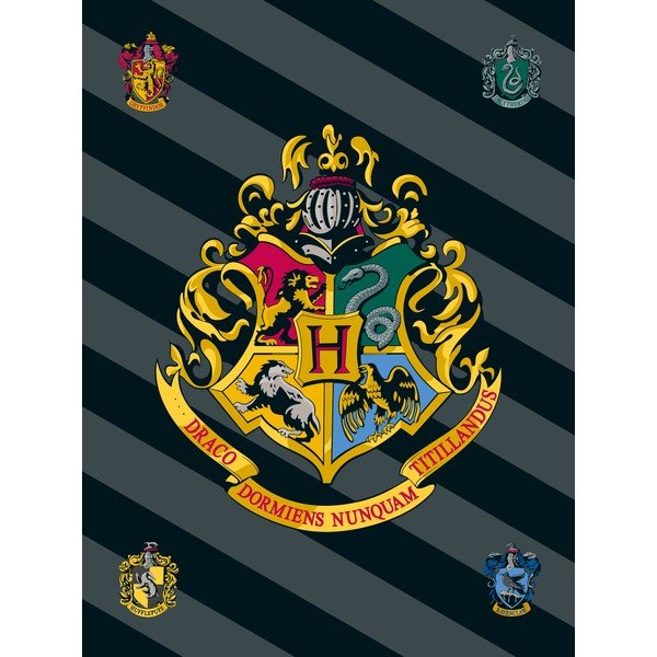 Deka za bebe od flisa 100x150 cm Harry Potter – Jerry Fabrics