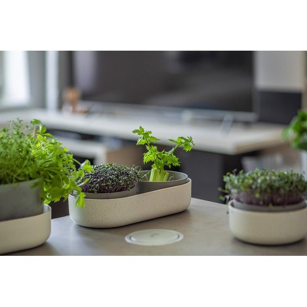 Plastična posuda za klice Microgreens + Regrow – Plastia-image-2