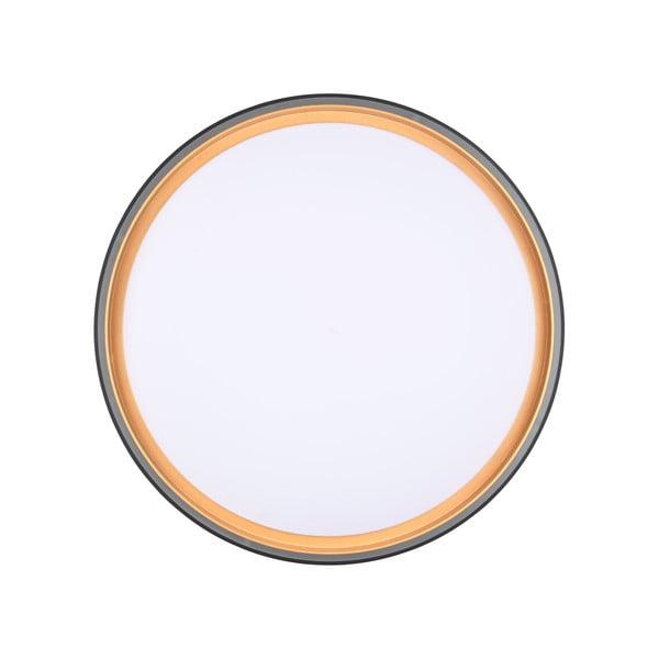 Crna LED stropna svjetiljka ø 40 cm Felis – Reality-image-4