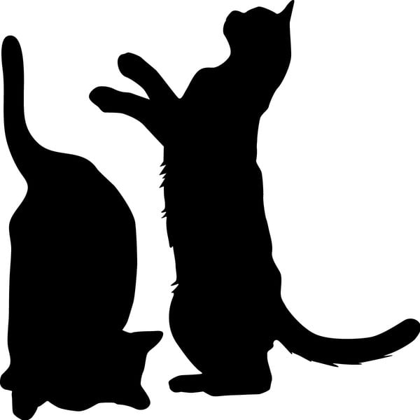 Set od 2 naljepnice Ambiance Cute Cats-image-1
