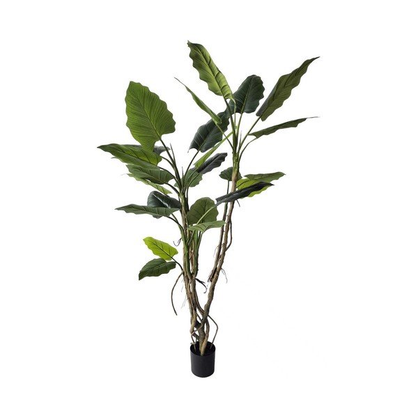 Umjetna biljka (visina 190 cm) Alocasia – Bizzotto