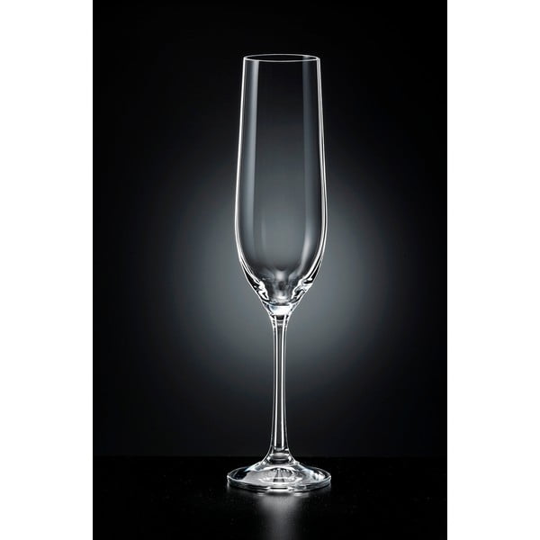 Set od 6 čaša šampanjca Crystalex Viola, 190 ml-image-1