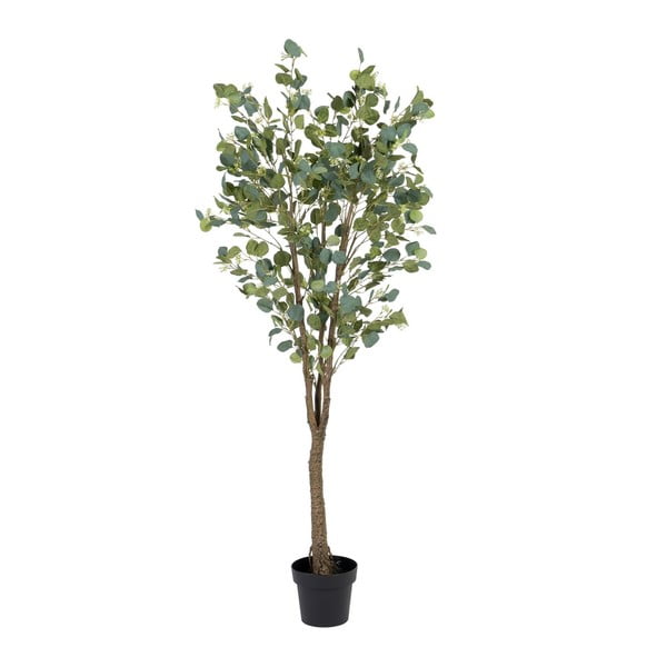 Umjetni eukaliptus (visina 173 cm) Eucalyptus – Ixia