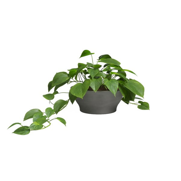 Tegla za cvijeće od terakote ø 23 cm Saramago – Artevasi-image-1