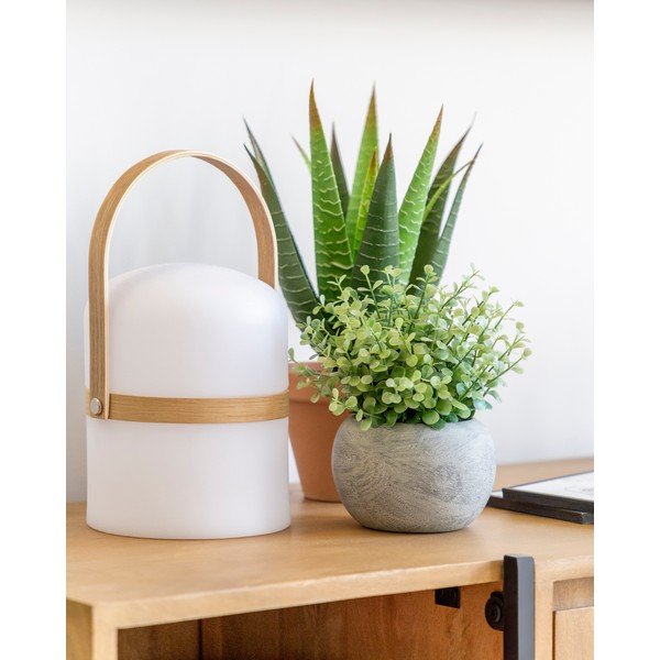 Umjetni eukaliptus u loncu Kave Home-image-2